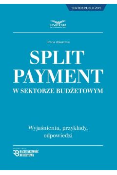 Split Payment w sektorze budetowym