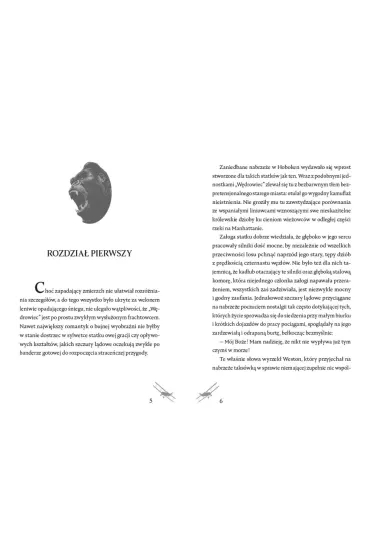 King Kong - Delos W. Lovelace