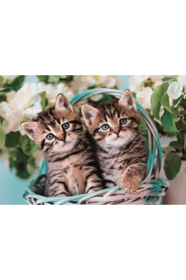 Puzzle 60 el. SuperColor. Lovely Kitty Twins Clementoni