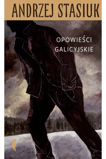 Opowie�ci galicyjskie - Andrzej Stasiuk