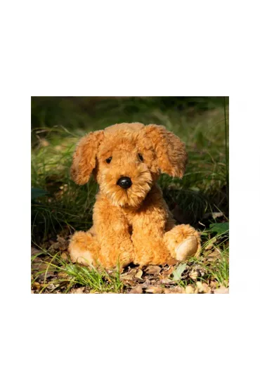 Pies Cockapoo One for Fun