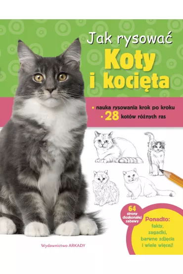 Jak rysowa� koty i koci�ta