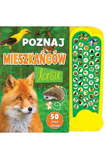 Poznaj mieszka�c�w lasu