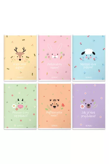 Herlitz Zeszyt A5 Pastel Cute mix kratka 16 kartek