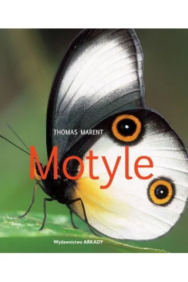 Motyle - Thomas Marent