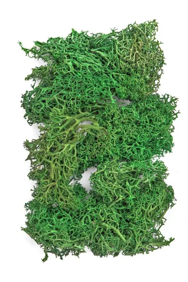 Dalprint Mech ciemnozielony 30g