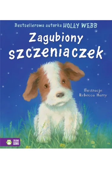 ZAGUBIONY SZCZENIACZEK-ZISO - Holly Webb