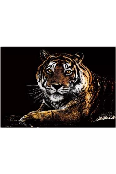Twoje Hobby Tiger. Magiczna zdrapka - wydrapywanka 40.0 x 28.5 cm