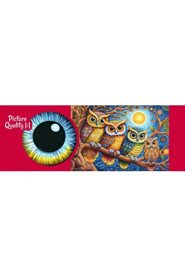 Puzzle 500 CherryPazzi Moonlight Owls 20449