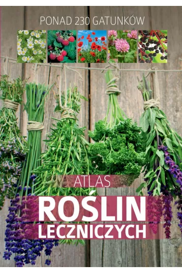 eBook Atlas ro�lin leczniczych pdf - Ma�gorzata Mederska