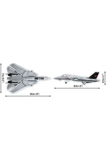 Top Gun - Grumman(R) F-14 Tomcat