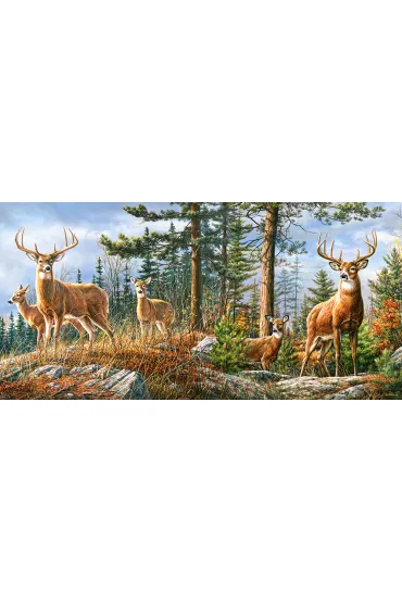 Puzzle 4000 el. Royal Deer Family Castorland
