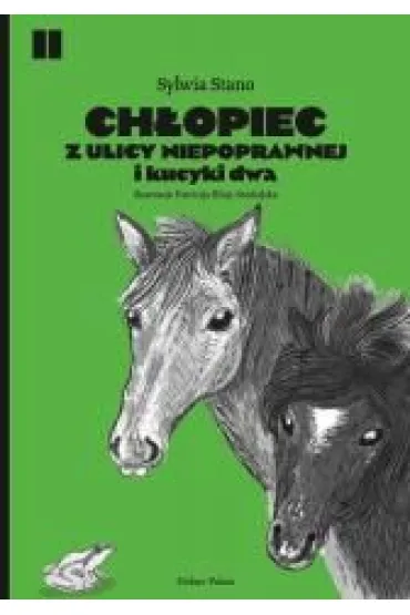 Ch�opiec z ulicy Niepoprawnej i kucyki dwa - Sylwia  Stano