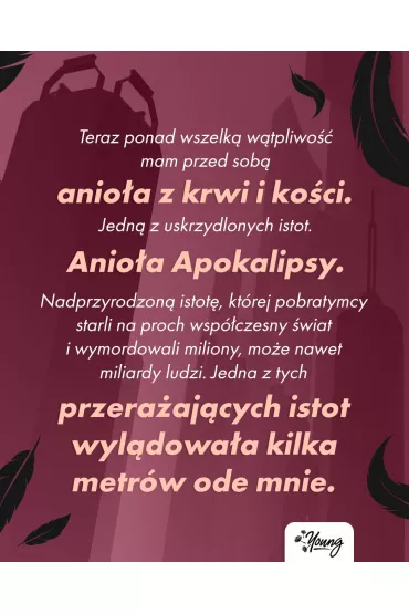 Pakiet Angelfall. Tomy 1-3: Opowie Penryn o kocu wiata, Penryn i wiat po, Penryn i kres dni - Susan Ee