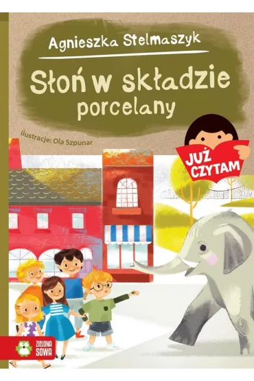 Ju� czytam. S�o� w sk�adzie porcelany - Agnieszka Stelmaszyk