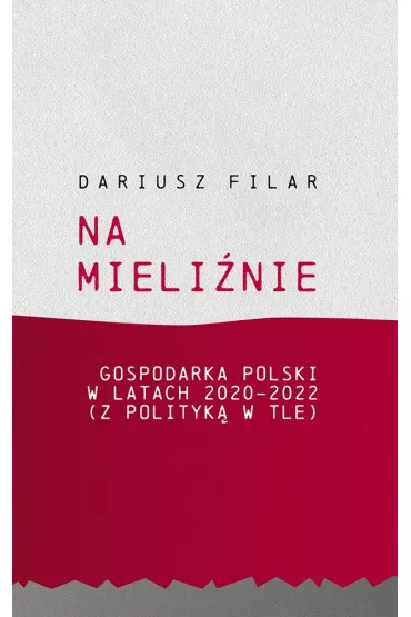 Na mieli�nie. Gospodarka Polski w latach 2020-2022 - Dariusz Filar