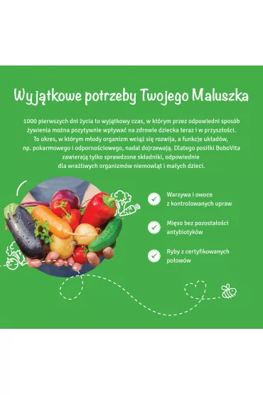 BoboVita Obiadek Spaghetti po bolosku po 12 miesicu zestaw 6 x 250 g