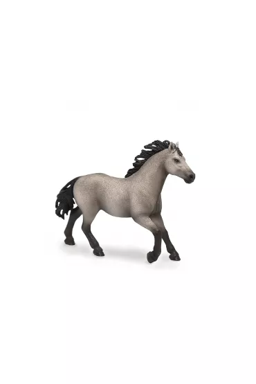 Quarter Horse Club