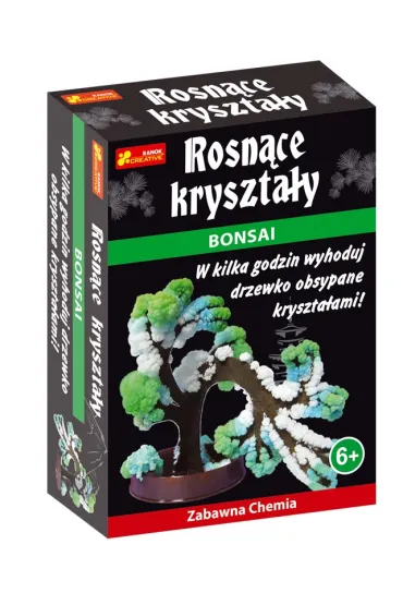 Bonsai Ranok-Creative