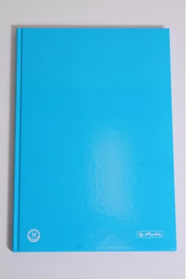 Herlitz Zeszyt A4 Blocking Color kratka 96 kartek