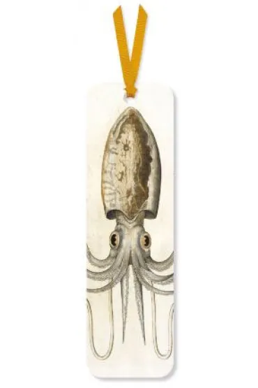 Museums & Galleries Zak�adka do ksi��ki Squid