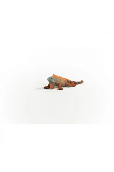Iguana