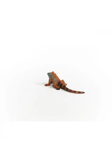 Iguana