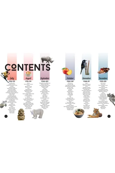 Where to go When. Lonely Planet