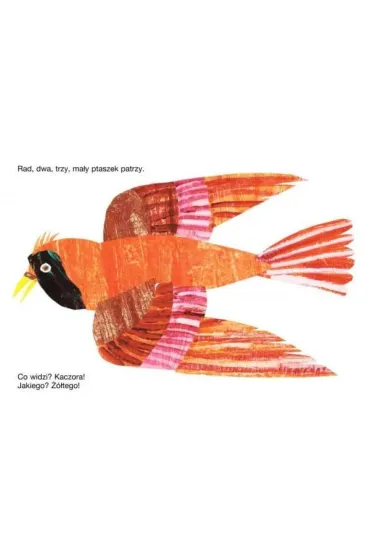 Mi� patrzy - Eric Carle, Bill Martin Jr.
