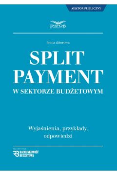 eBook Split Payment w sektorze budetowym pdf