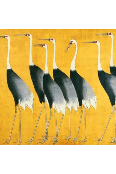 Museums & Galleries Karnet kwadrat z kopert� Cranes