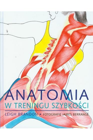 Anatomia w treningu szybkości