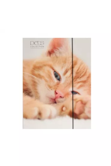 Pan Dragon Teczka A4 z gumk� Pets-15