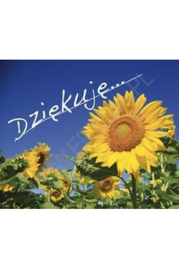 Dzi�kuj�. Pere�ka