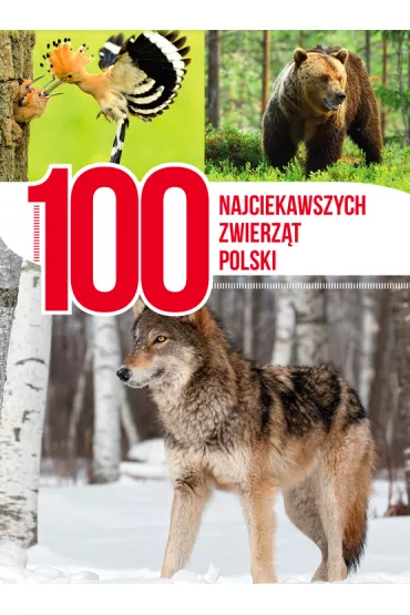 100 najciekawszych zwierz�t Polski - Anna Przyby�owicz, �ukasz Przyby�owicz