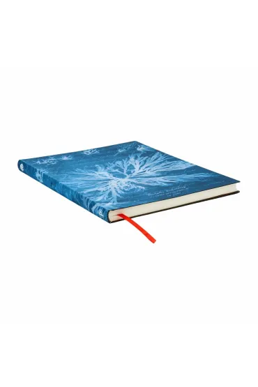 Anna Atkins` Cyanotypes Notatnik Sea Flowers ultra linia