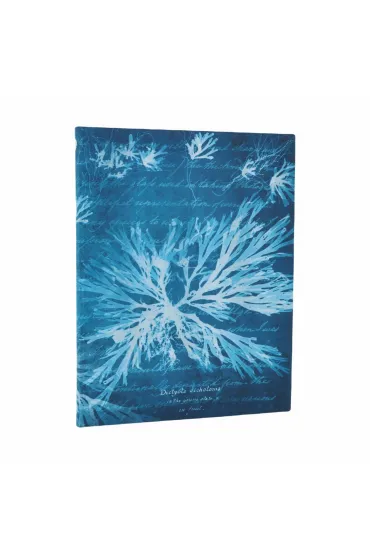 Anna Atkins` Cyanotypes Notatnik Sea Flowers ultra linia