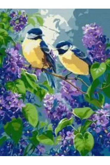 Ideyka Malowanie po numerach - Wiosenny duet 30x40cm