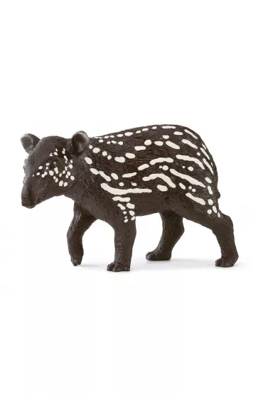 Ma�y tapir