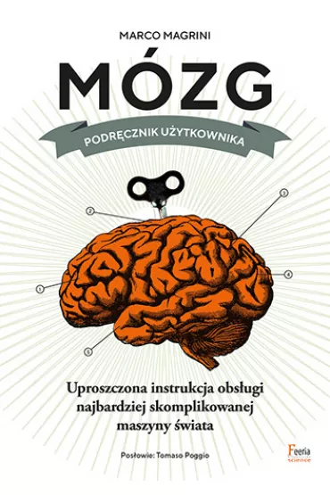 M�zg podr�cznik u�ytkownika - Magrini Marco