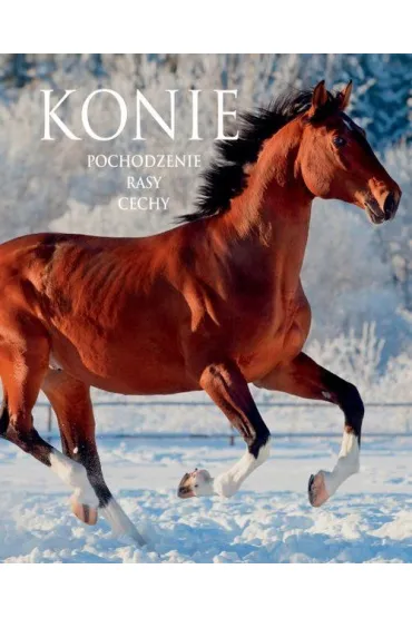 Konie. Pochodzenie, rasy, cechy