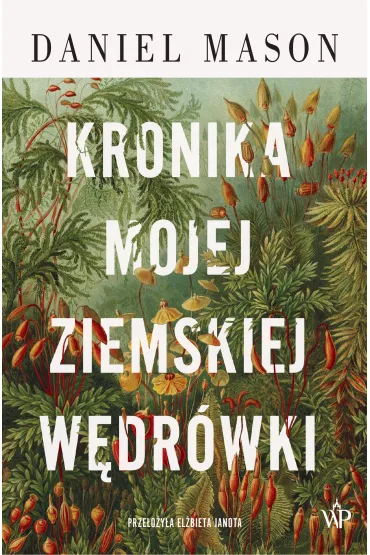 Kronika mojej ziemskiej w�dr�wki - Daniel Mason