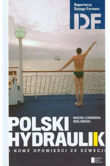 Polski hydraulik - Maciej Zaremba Bielawski