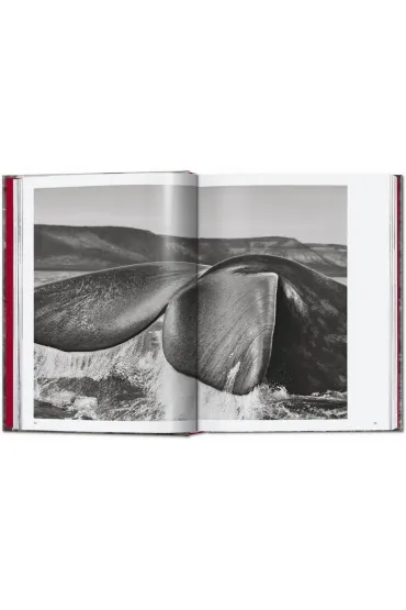 Sebastiao Salgado. Genesis wer. angielska