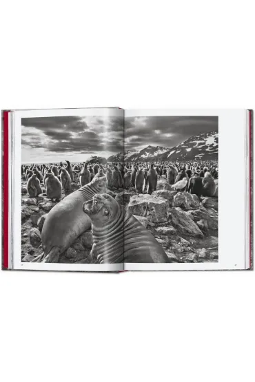 Sebastiao Salgado. Genesis wer. angielska