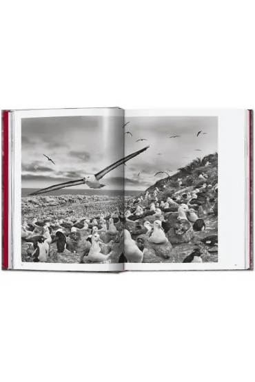 Sebastiao Salgado. Genesis wer. angielska
