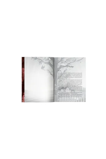 Ka�dy tw�j u�miech (barwione brzegi) - Amelia Nowi�ska