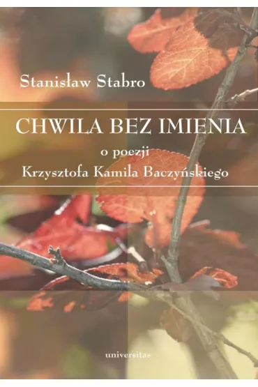 eBook Chwila bez imienia. O poezji Krzysztofa Kamila Baczy�skiego pdf - Stanis�aw Stabro