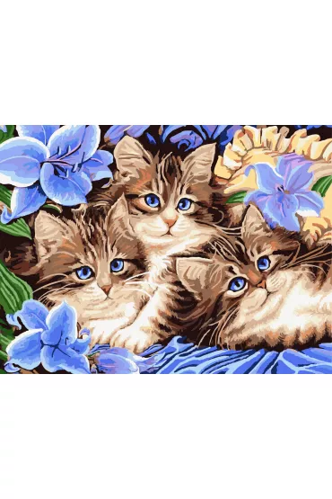Twoje Hobby Malowanie po numerach - Trzy koci�ta 40x50cm