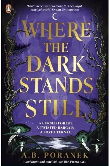 Where the dark stands still wer. angielska - A. B. Poranek